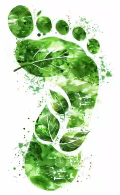 Pegada formada por folhas verdes